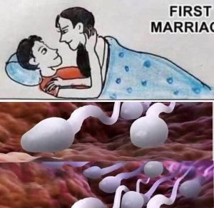 🚨🚨Studies reveal that swallowing your partner’s semen…Read More
